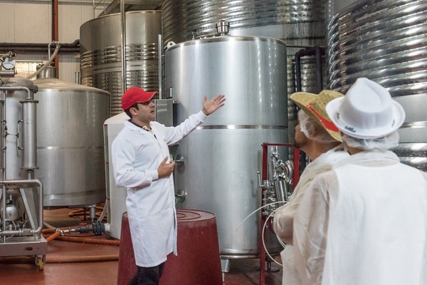 Maceration carbonique / voorweken